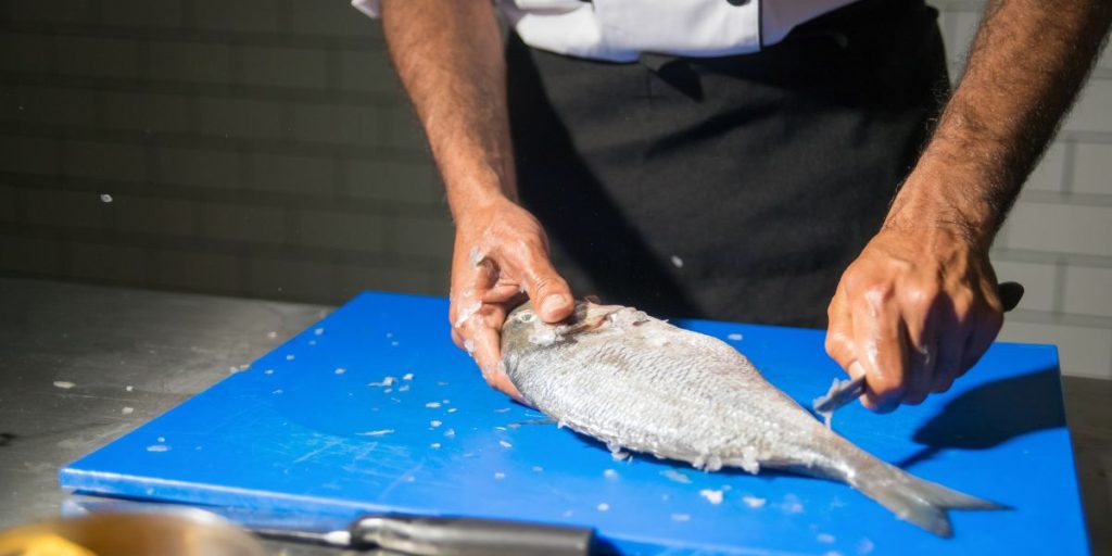 Guide pour le nettoyage et la préparation du poisson cru après sa capture